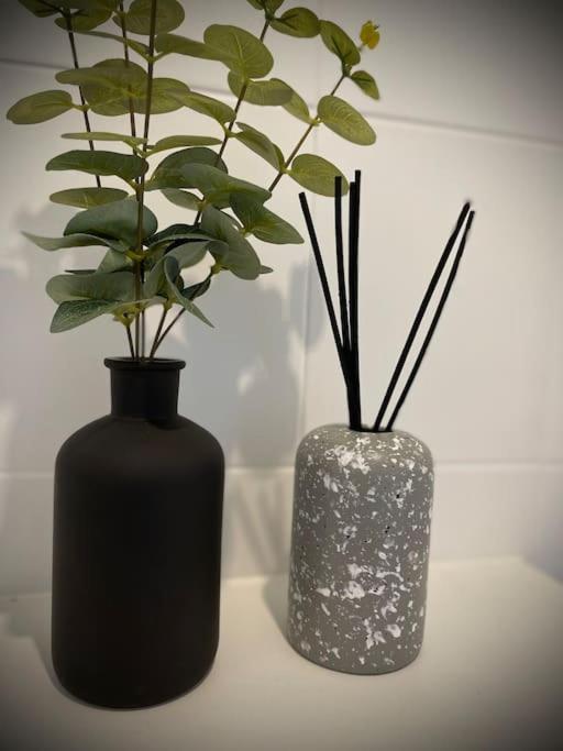 Studio 10Min Paris Centre I Cdg 德朗西 外观 照片